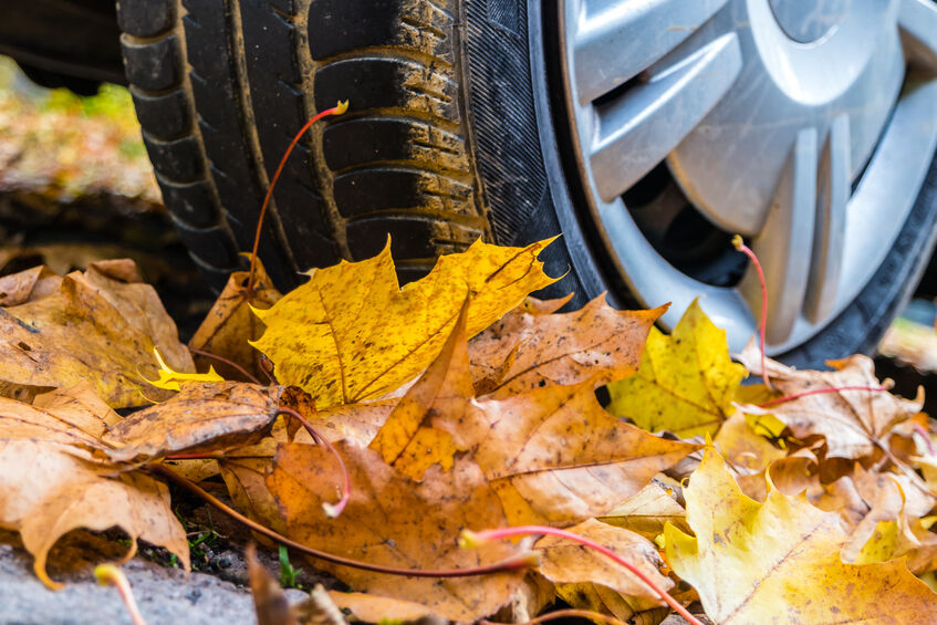 Car driving over leaves