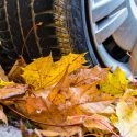 Car driving over leaves